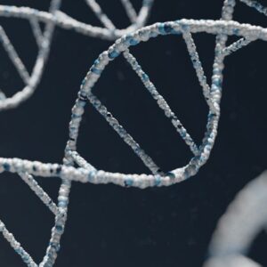 Ședință profil hologenetic – 1 oră
