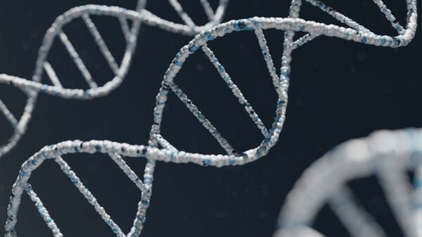 Ședință profil hologenetic – 1 oră