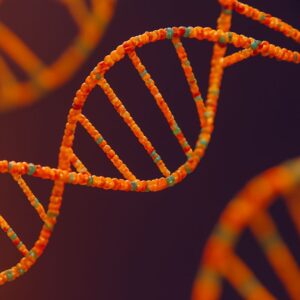 Ședință profil hologenetic – 1 oră