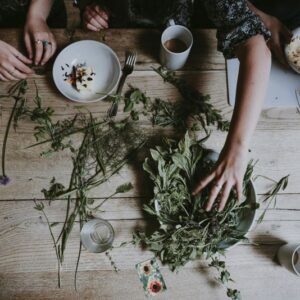 Fitoterapia – plantele care echilibrează trupul și sufletul