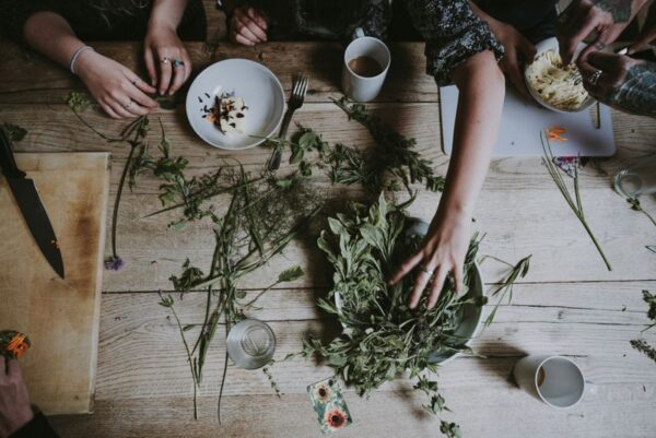 Fitoterapia – plantele care echilibrează trupul și sufletul